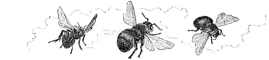 A drawing of three bees flying.